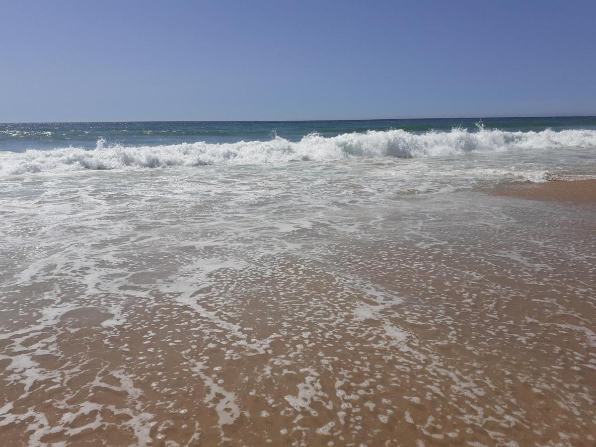 Apartamento Puerta Al Mar Cádiz Eksteriør billede